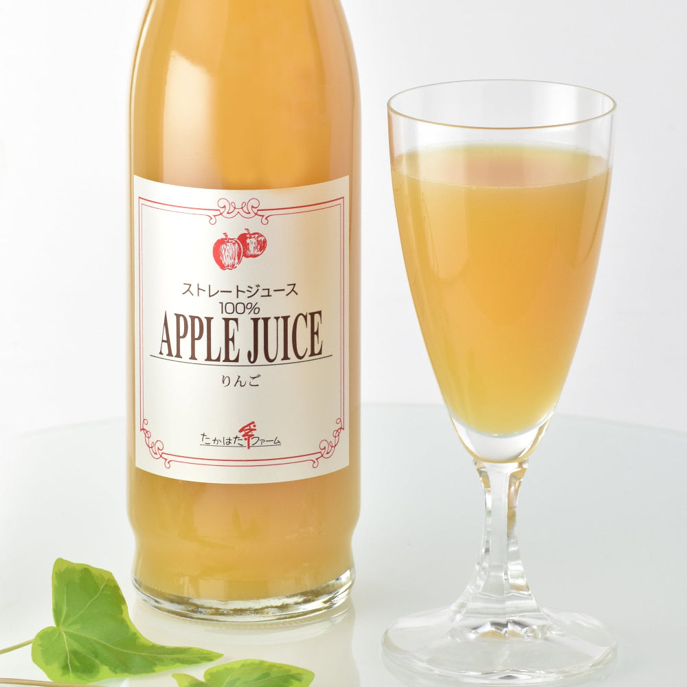 りんごジュース（500ml）